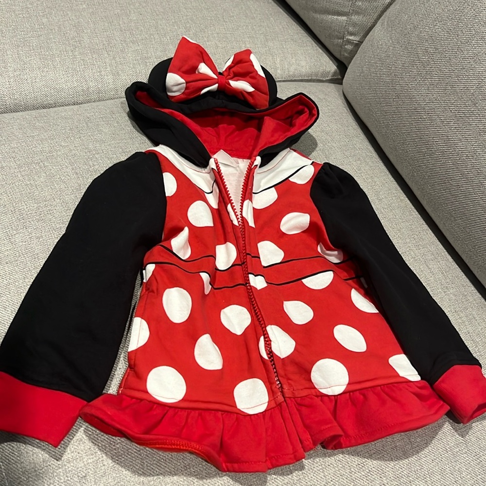 Minnie Mouse hooded sweater for toddler girl size 2T used good condition